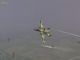 ScreenShot_168.jpg